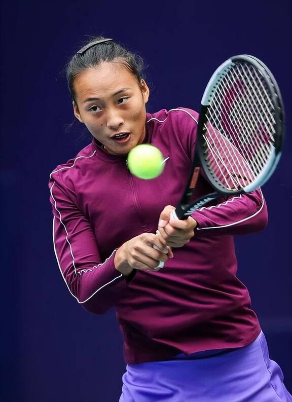 总结什琴斯 总结什琴斯